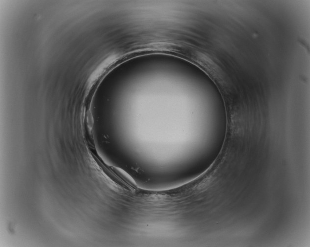 X0000101711180200807101557