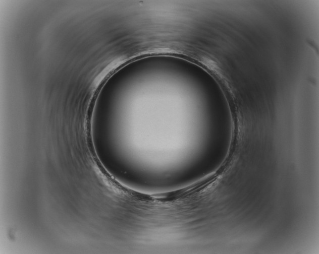 X0000101711181200807101557