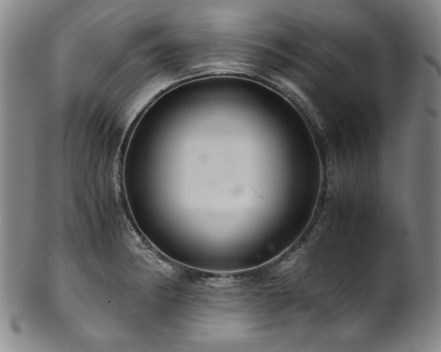 X0000101711182200807101557