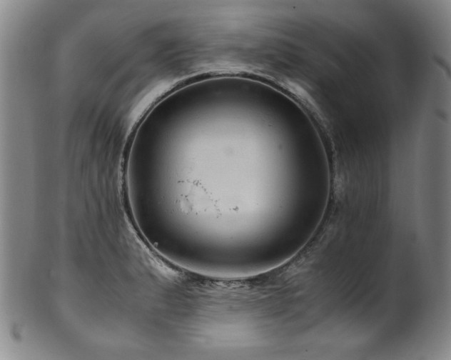 X0000101711183200807101557