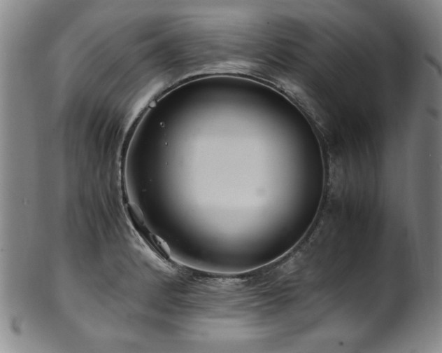 X0000101711184200807101557