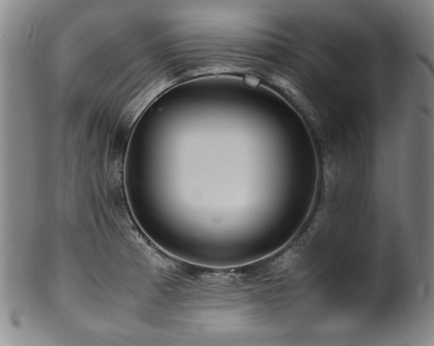 X0000101711185200807101557