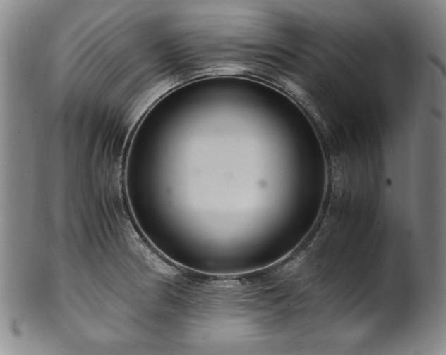 X0000101711186200807101557