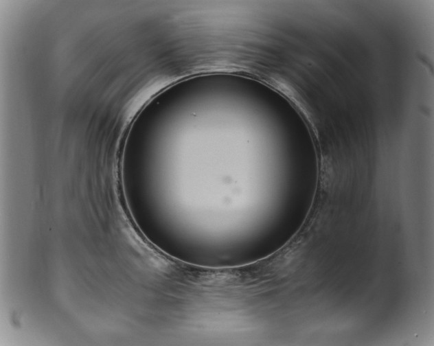 X0000101711187200807101557