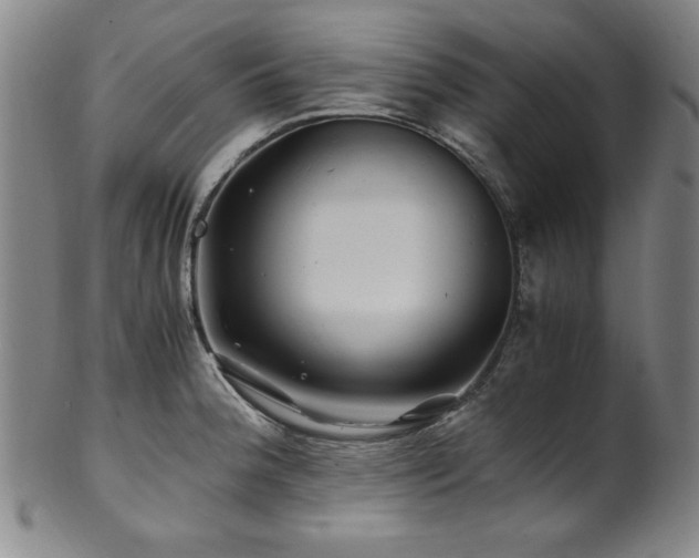 X0000101711188200807101557