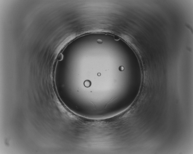 X0000101711189200807101557