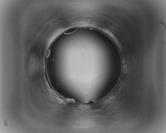 X0000101711191200807101557