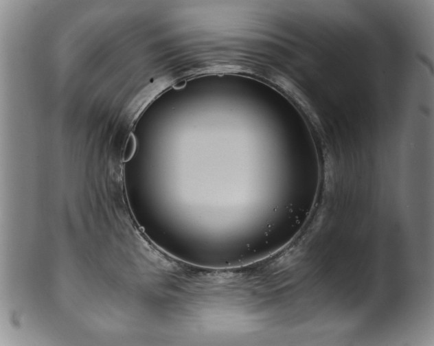 X0000101711193200807101557