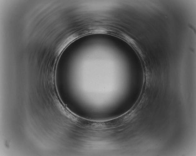 X0000101711194200807101557