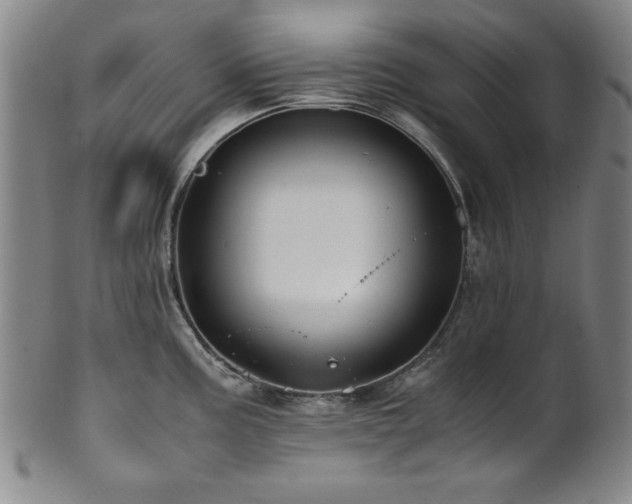 X0000101711195200807101557