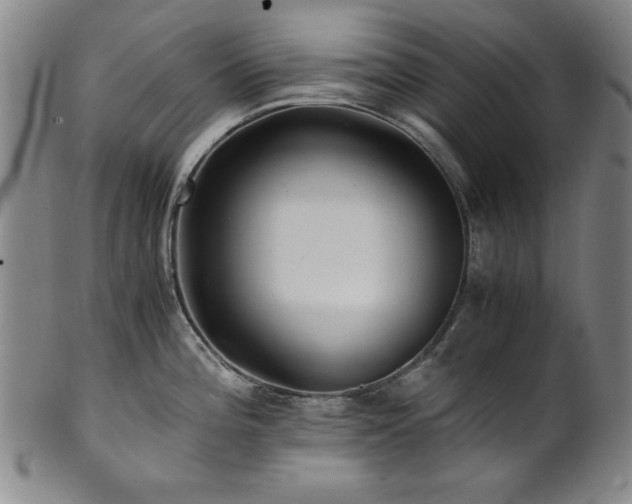 X0000101711196200807101557