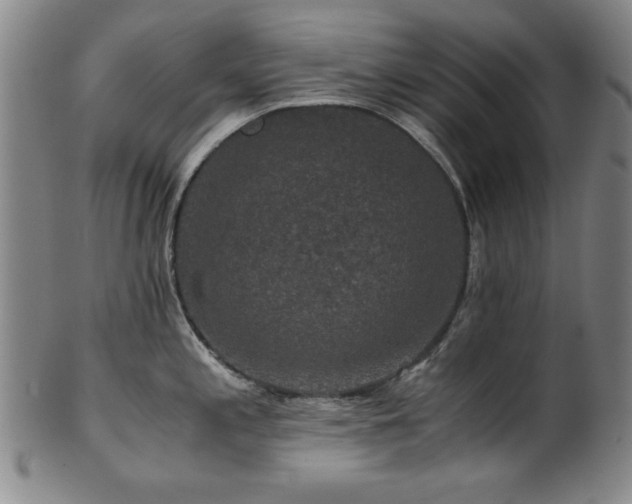 X0000101711197200807101557