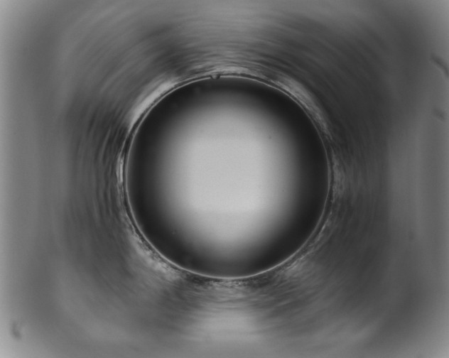 X0000101711198200807101557