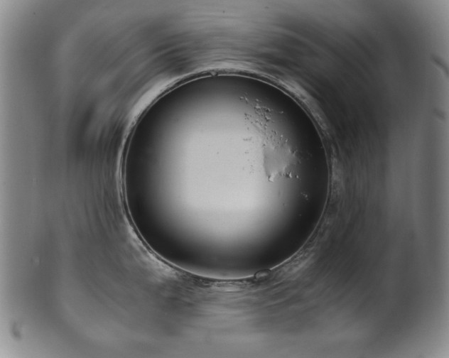 X0000101711199200807101557