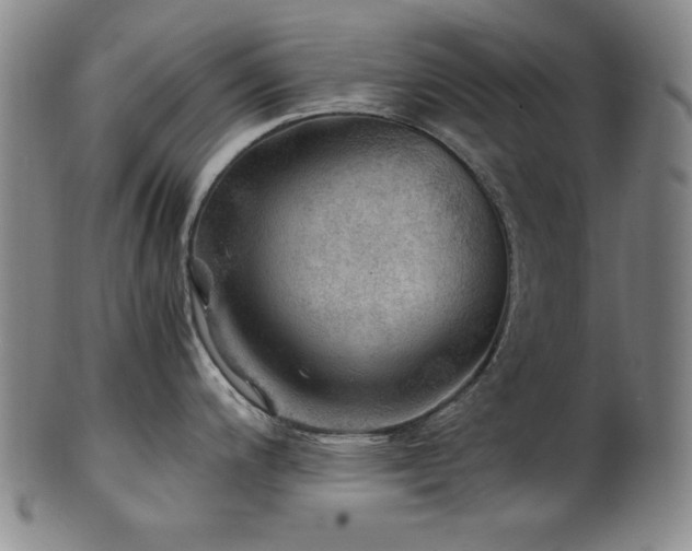 X0000101711200200807101557