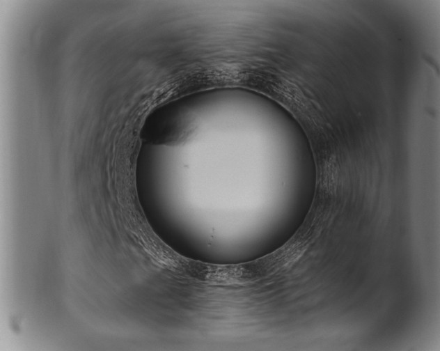 X0000101711201200807101556