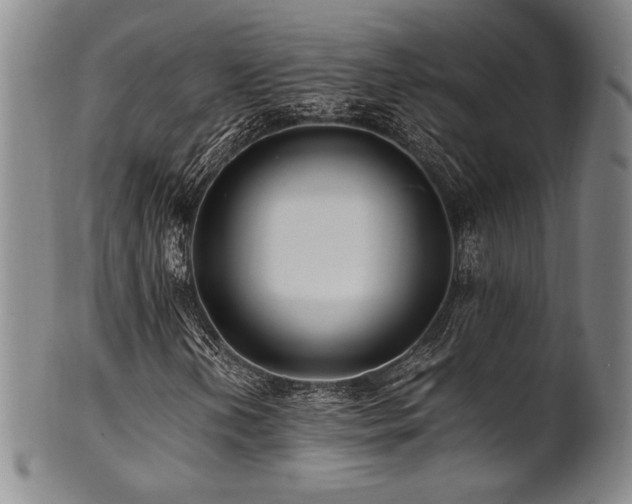 X0000101711202200807101556