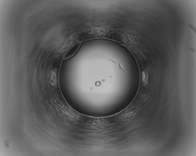 X0000101711203200807101556