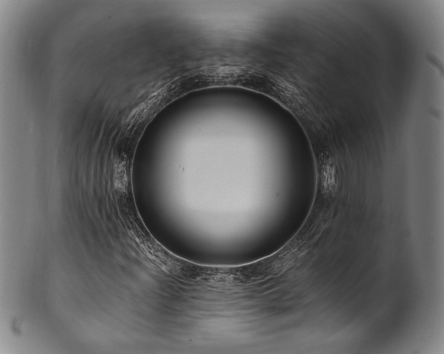 X0000101711204200807101556