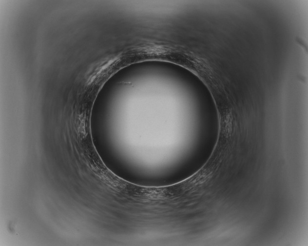 X0000101711205200807101556