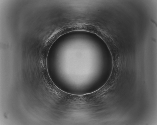 X0000101711206200807101556