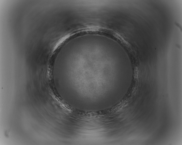 X0000101711208200807101556