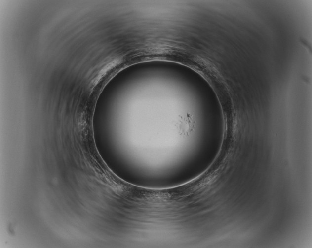 X0000101711210200807101556