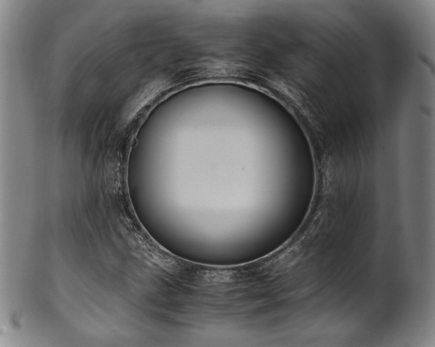 X0000101711211200807101556