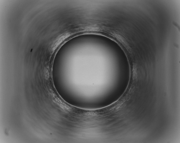 X0000101711212200807101556
