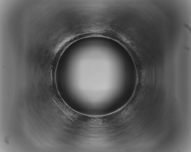 X0000101711214200807101556