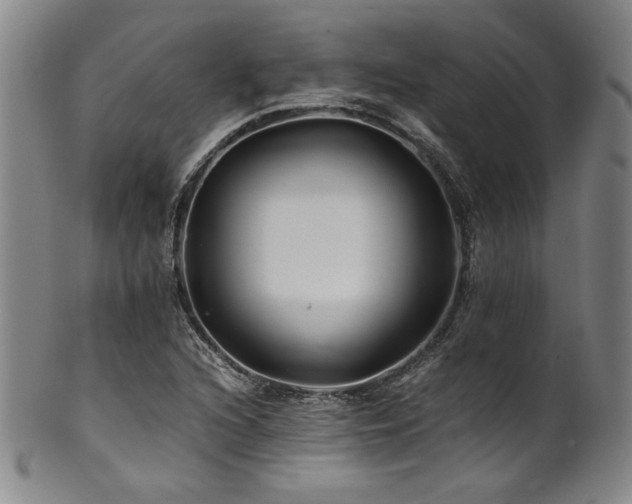 X0000101711216200807101556