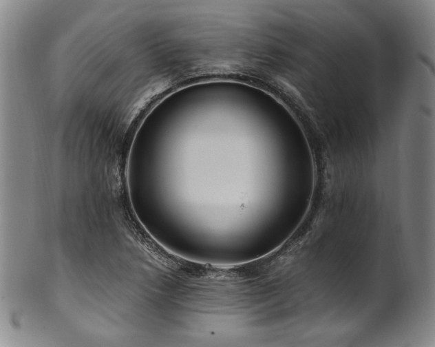 X0000101711218200807101556