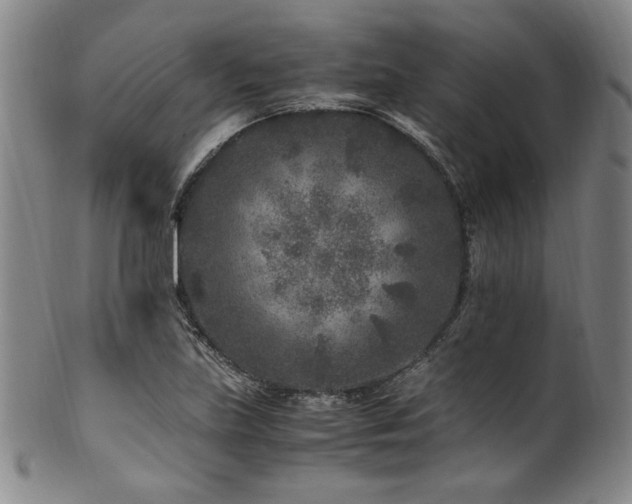 X0000101711219200807101556