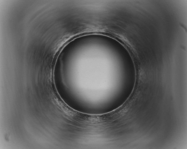 X0000101711220200807101556