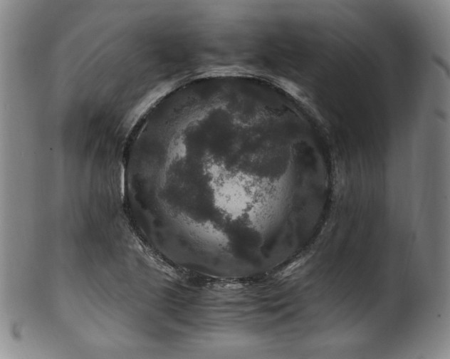 X0000101711221200807101556