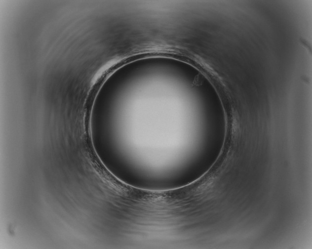 X0000101711222200807101556