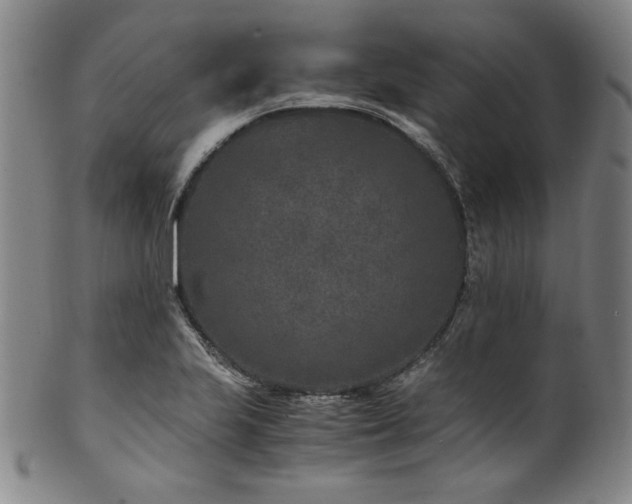X0000101711223200807101556