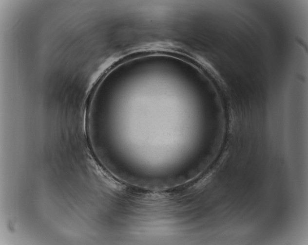 X0000101711224200807101556