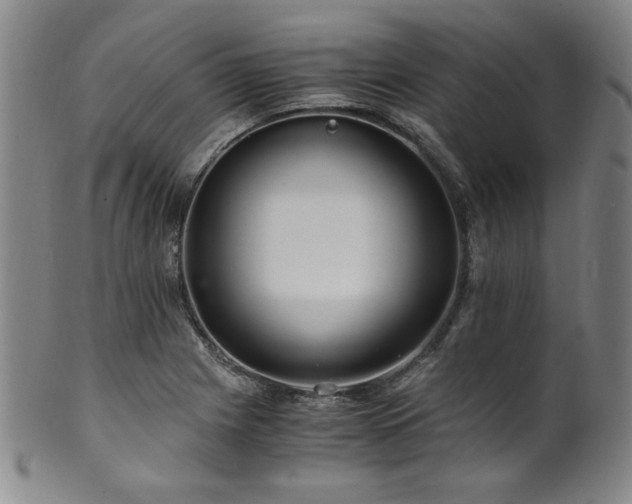 X0000101711225200807101556