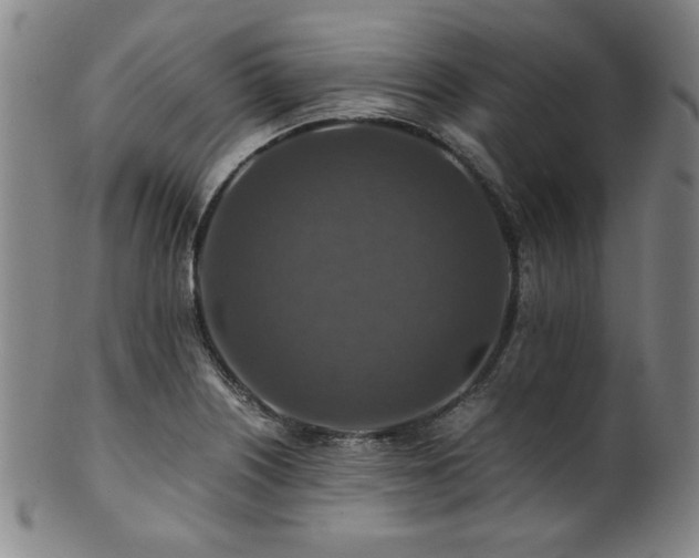 X0000101711226200807101556