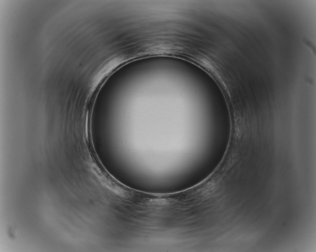 X0000101711227200807101556