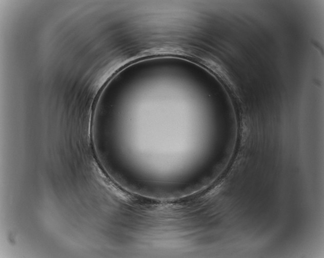 X0000101711228200807101556