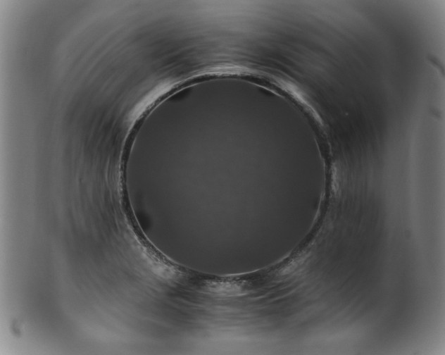 X0000101711229200807101557