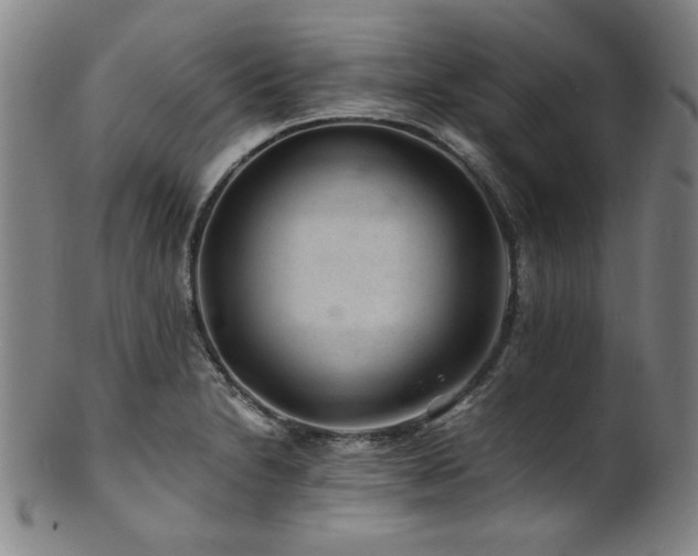 X0000101711230200807101557