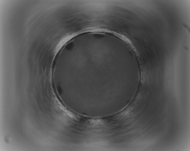 X0000101711231200807101557