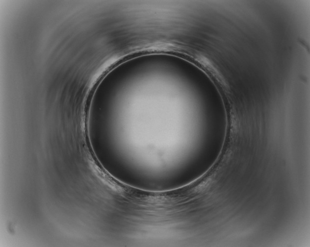 X0000101711232200807101557