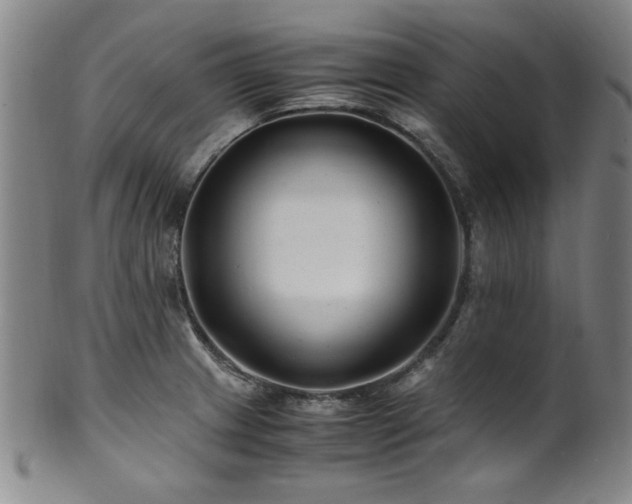 X0000101711233200807101557