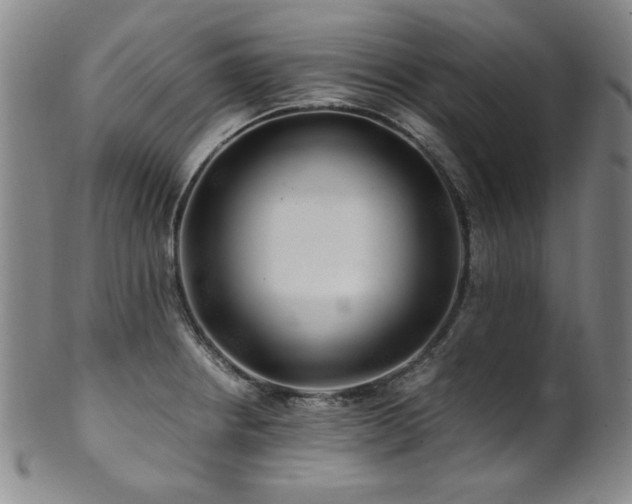 X0000101711234200807101557