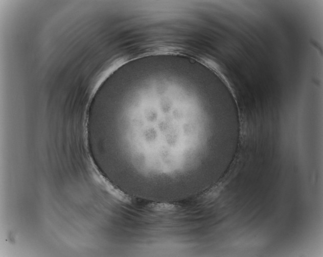 X0000101711235200807101557