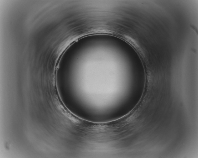 X0000101711236200807101557